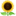 🌻